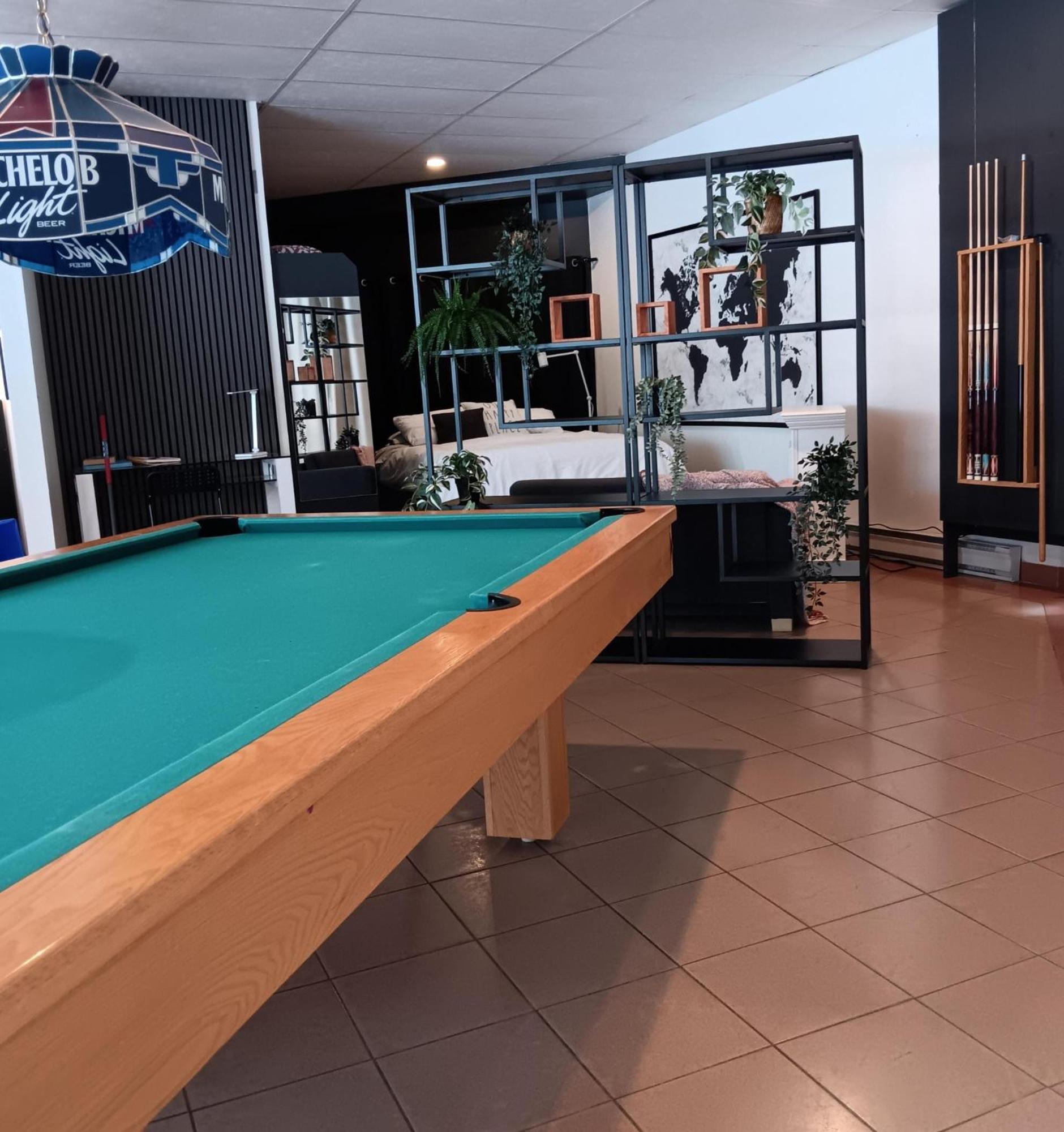 Loft Avec Vue A 180 Degre Leilighet Louiseville Eksteriør bilde